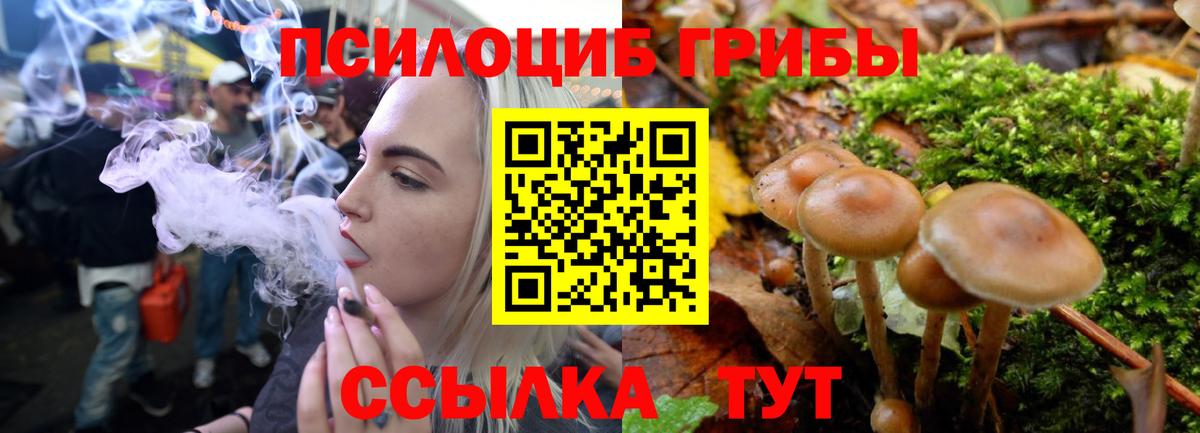 Усолье-Сибирское  Псилоцибиновые грибы GOLDEN TEACHER  Вход с VPN 